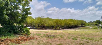 Quarter-acre Freehold Plot in Watamu -- Behind Snake Park  Kes 8m, Behind Snake Park, Watamu, Kilifi, Land for Sale