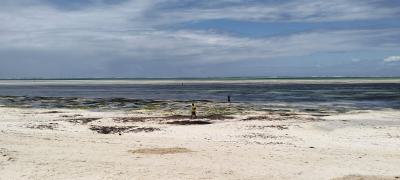 Prime 4-acre Cliff-side Property in Watamu -- Malaika Beach, Malaika Beach, Watamu, Kilifi, Land for Sale