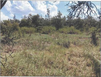 Land, Ongata Rongai, Kajiado, Mixed-use Land for Sale