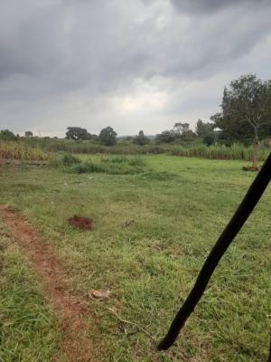3/4 Acre Parcel of Land, Runda Gardens/mimosa Area, Runda, Westlands, Nairobi, Residential Land for Sale