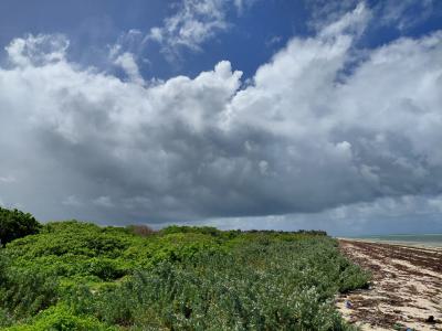 Watamu 12 Acres Subdivided in 3 Blocks Each 4 Acres 20m, Watamu, Watamu, Kilifi, Mixed-use Land for Sale