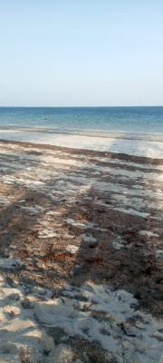 2.44 Ha. Beach Property in Diani Beach Ready Title 65m, Ukunda Diani, Ukunda, Kwale, Mixed-use Land for Sale