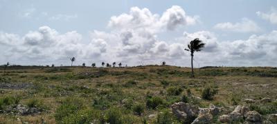 Prime One-acre Beach Plot for in Watamu Near The One Bay Watamu, Near One Bay, Watamu, Kilifi, Land for Sale