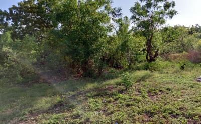Luxury 1.25-acre Plot for Watamu,offered at Kes 15,000,000, Off Turtle Bay Road and Next to 2livu Villas., Watamu, Kilifi, Land for Sale