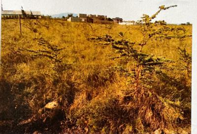 Land in Kantafu, Kangundo North, Machakos, Land for Sale