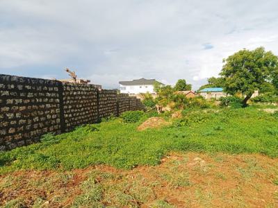 a Quarter of an Acre, Kilifi Bay Beach Resort  Second Row Beach 6.2m, Kilifi  Bofa, Bamba, Kilifi, Mixed-use Land for Sale