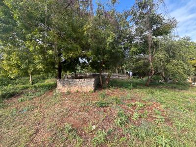 2 Acres Airport Road of Diani Beach Road  Opposite Rainbow Primary in, Diani Airport Beach Rd, Ukunda, Kwale, Mixed-use Land for Sale
