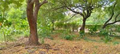 Half Acre Land on Turtle Bay Road, Watamu -- Opposite Blue Moon Mall, Turtle Bay Rd, Opposite Blue Moon Mall, Watamu, Kilifi, Land for Sale