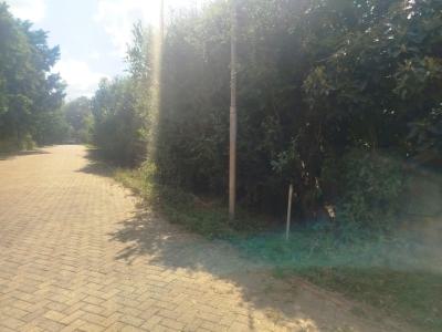 Prime 1 Acre Plot -- Tree Lane  Red Soil, Luxury Location & Ready Titl, Tree Lane, Karen, Nairobi, Land for Sale