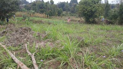 Ready to Build  Residential Plot, Mai-i-ihii, Kikuyu, Kiambu, Land for Sale