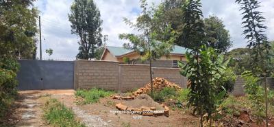 Spacious and Serene 3-bedroom Bungalow  in Kibiko, Ngong, Kibiko, Ngong, Kajiado, Detached Bungalow for Rent