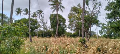 Prime 2.15 Acres in Gede with Mombasa Road Frontage -- ½ Acre  5m, Mombasa Rd Frontage, Watamu, Kilifi, Land for Sale