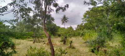1 Acre Freehold --- Near Gede Ruins - Malindi / Kilifi (ksh 3.5m), Near Gede Ruins, Watamu, Kilifi, Land for Sale