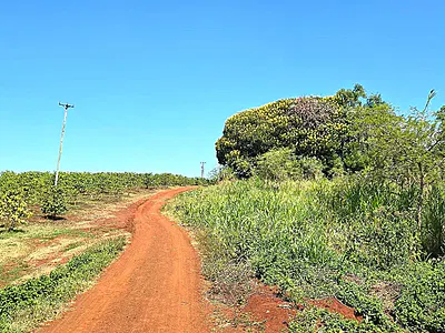 High Potential Commercial Land Red Soil — Gatanga Road, Gatanga, Muranga
