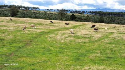 Agricultural Land, Olkalau Road,, Esise, Nyandarua, Mixed-use Land for Sale