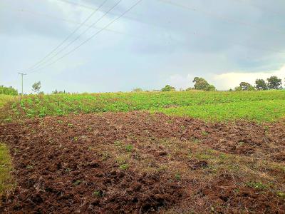 Murungaru 44 Acres, Nyandarua, North Kinangop, Nyandarua, Commercial Land for Sale