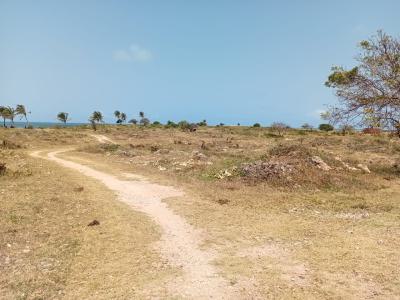 Beachfront Land in Malindi --- Casuarina Road, Kivulini, Kivulini, Casuarina, Malindi, Malindi Town, Kilifi, Land for Sale