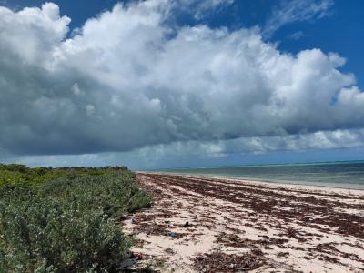 12 Acres Subdivided in 3 Blocks Each 4 Acres Asking Price per Acre Is, Watamu Kilifi, Watamu, Kilifi, Mixed-use Land for Sale