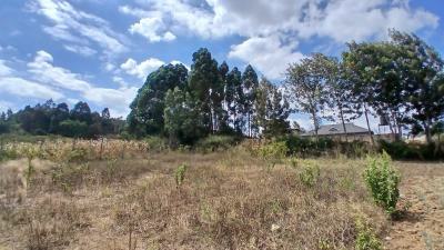 Ready to Build Plot in a Developing Neighborhood, Kamangu, Kikuyu, Kiambu, Land for Sale
