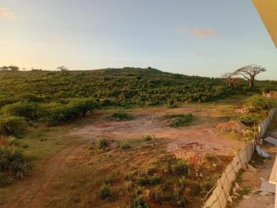 Prime 50 X 100 Meter Plots  --- Lamu Road, Sabaki Bridge  Mkaazi, Sabaki Bridge, Malindi Town, Kilifi, Land for Sale