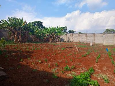 Residential Land  in Kiambu County, Sasini Area, Cianda, Kiambu, Residential Land for Sale