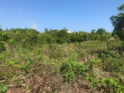 3.1 Acres of Prime Land, Diani, Ukunda, Kwale, Mixed-use Land for Sale