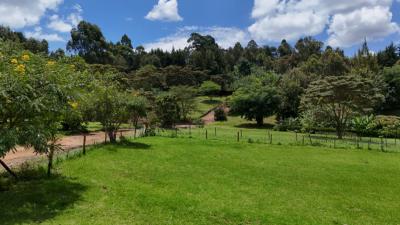 Ngong 1/4 Acre Serviced Plots, Masai Road, Ngong, Kajiado, Residential Land for Sale