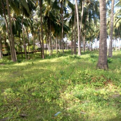 3.2 Acres Beach Property in Kikambala 65m, Kikambala Beach, Ukunda, Kwale, Mixed-use Land for Sale