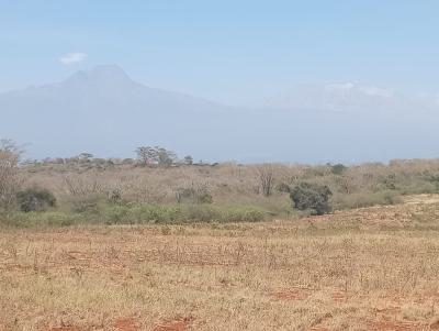 Land in Entarara Rombo Loitokitok 167 Acre @ of Mt Kilimanjaro, Entarara Rombo Loitokitok, Rombo, Kajiado, Land for Sale