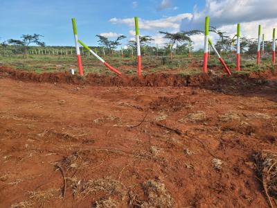 The Ideal 50*100ft Investment, Nachu, Kikuyu, Kiambu, Residential Land for Sale