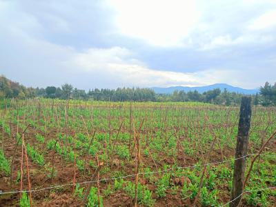 Nyandarua 10 Acres Land, Engineer Road, Engineer, Nyandarua, Residential Land for Sale