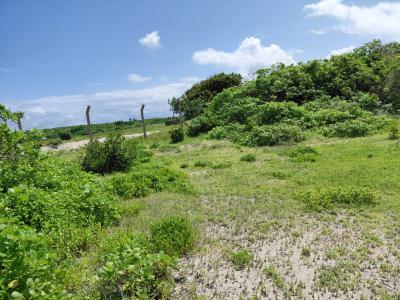 12 Acres Subdivided in 3 Blocks Each 4 Acres 20m per Acre, Watamu Kilifi, Watamu, Kilifi, Mixed-use Land for Sale