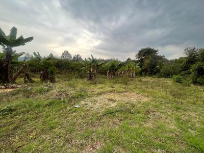 Half Acre Land, Karen End, Karen, Nairobi, Residential Land for Sale