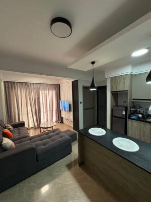 1 Bedroom Airbnb Near Nightlife Hotspots, George Padmore Road, Kilimani, Nairobi, Apartment Short Let