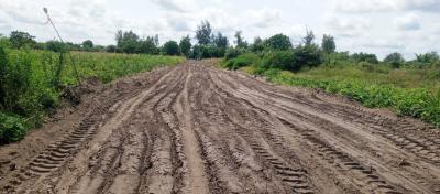 Lamu, Hindi 1/8, 1/4, & 1/2 Acre Freehold Plots, Lamu County, Hindi, Lamu, Residential Land for Sale