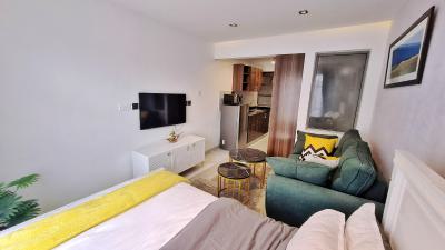 Studio Apartments Along Naivasha Road, Naivasha Road, Riruta, Nairobi, Bedsitter (single Room) for Sale