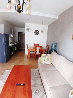 1 Bedroom Apartment Fully Furnished and Serviced, Kilimani, Nairobi, Apartment for Rent