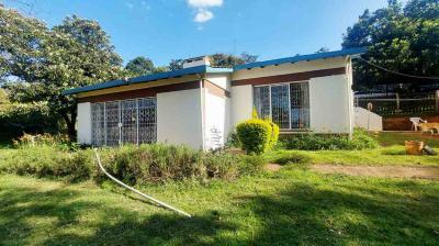 4 Bedroom Plus Dsq House in Loresho, Loresho Ridge, Loresho, Westlands, Nairobi, Detached Bungalow for Sale