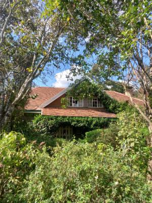 Elegantly Furnished 4 Bedroom Bungalow, Karen, Nairobi, House for Rent