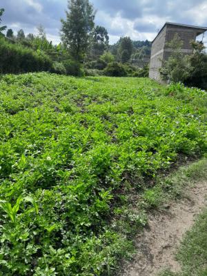 Green Lavish Plot in Kajiado, Oloolua, Oloolua, Kajiado, Land for Sale