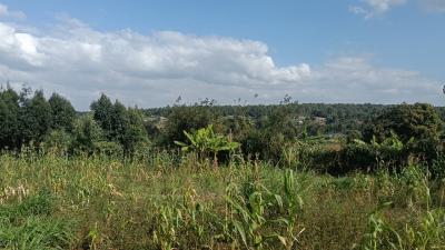 Plot in Thiiru/uthiru, Thiiru/uthiru, Uthiru, Kiambu, Land for Sale