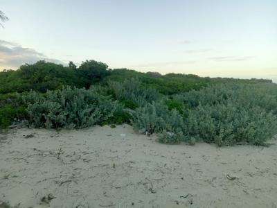 Land in Watamu, Watamu, Watamu, Kilifi, Land for Sale