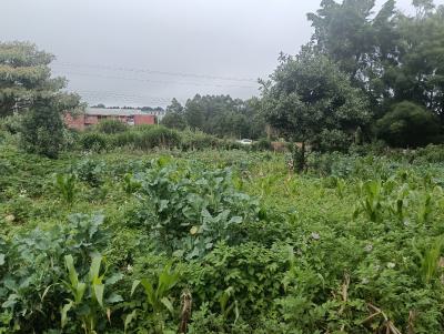 Land in Acre Tano, Acre Tano, Waiyaki Way, Kikuyu, Kiambu, Land for Sale