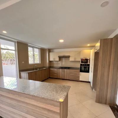 Executive 3 Bedroom Plus Dsq Apartment in Lavington, Lavington, Lavington, Nairobi, Apartment for Rent