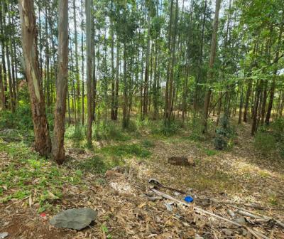 Prime 1/2 Acre Plot  at Ridgeways, Nairobi, Ridgeways, Runda, Westlands, Nairobi, Land for Sale