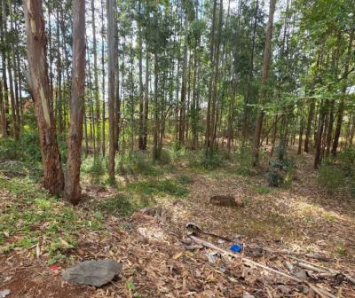 Prime Half-acre Plot  in Ridgeways, Nairobi, Ridgeways, Runda, Westlands, Nairobi, Land for Sale