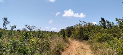 Prime 13-acre Roadfront Land in Kizingo, Watamu, Kizingo, Watamu, Kilifi, Residential Land for Sale