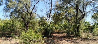 Premium 13-acres Land, Jacaranda, Watamu, Kilifi, Commercial Land for Rent