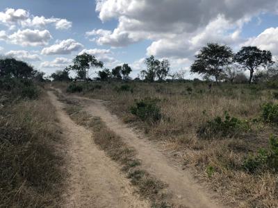 Affordable Farm Lands, Malindi, Malindi Town, Kilifi, Mixed-use Land for Sale