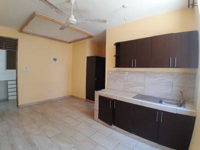 Smart Studio Apartment -- Mall Area, Mtwapa, Mall Area, Mtwapa, Mtwapa, Kilifi, Apartment for Rent